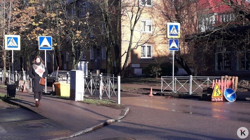 Зелёный эксперимент: в Калининграде на одной из улиц железные ограждения заменят живой изгородью - Новости Калининграда | Фото: Архив &quot;Клопс&quot;