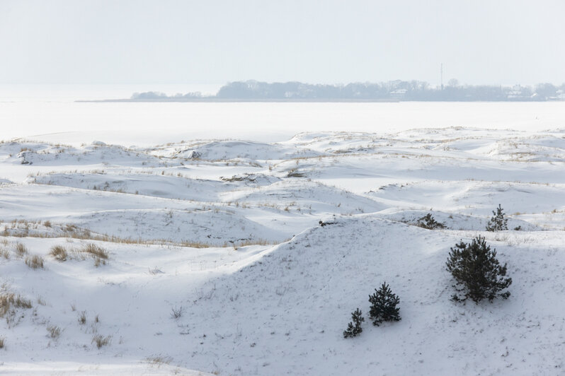 Дюны в снегу на Куршской косе | Александр Подгорчук / &quot;Клопс&quot;