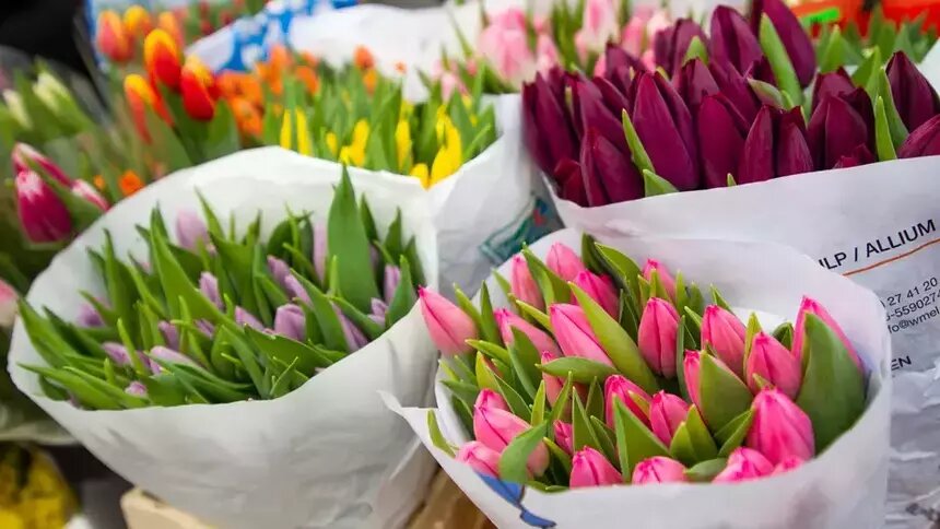 Представители отрасли предупредили о рекордном подорожании цветов перед 8 марта - Новости Калининграда | Архив &quot;Клопс&quot;