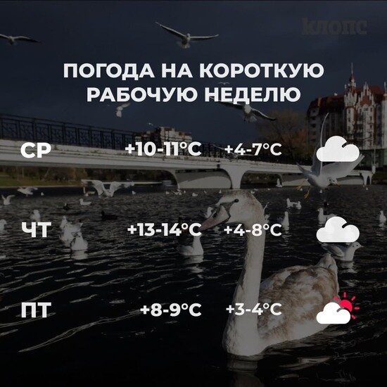Синоптики рассказали о погоде в Калининграде на короткую рабочую неделю - Новости Калининграда
