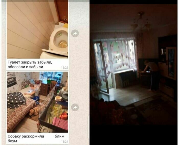 Сообщения с кадрами &quot;жучков&quot; из дома калининградки | Скриншоты: Надежда Баландина