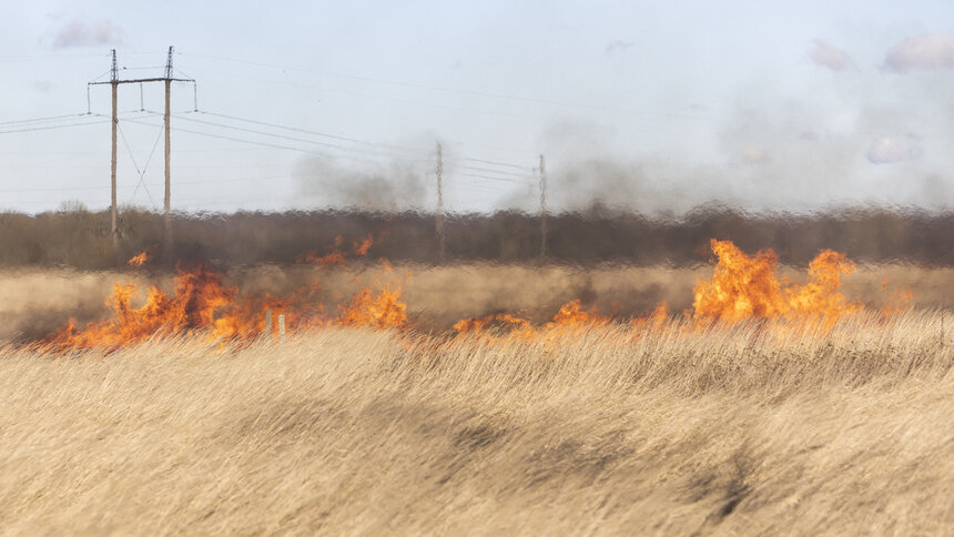 В Калининградской области пожарные четыре раза за сутки тушили палы травы - Новости Калининграда | Фото: Архив &quot;Клопс&quot;