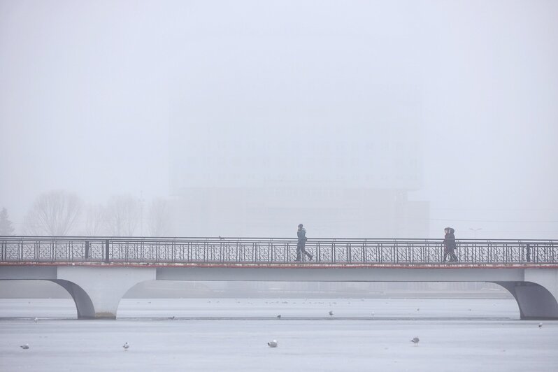 Фото дня: туман в первый день весны - Новости Калининграда | Александр Подгорчук / &quot;Клопс&quot;