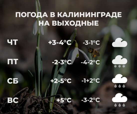 Синоптики рассказали о погоде в Калининграде на первые выходные марта - Новости Калининграда