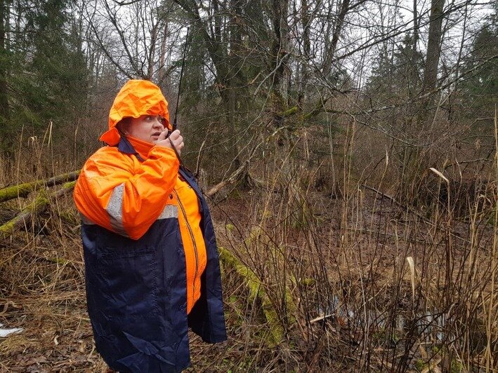  В лесу Полесского района нашли вещи пропавшей трое суток назад пенсионерки  - Новости Калининграда | Фото предоставлены ПСО &quot;Запад&quot;