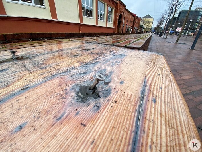 Лужи и разбросанные кирпичи: как выглядит пешеходная Баранова спустя 2,5 года после открытия - Новости Калининграда | Фото: Александр Подгорчук/&quot;Клопс&quot;