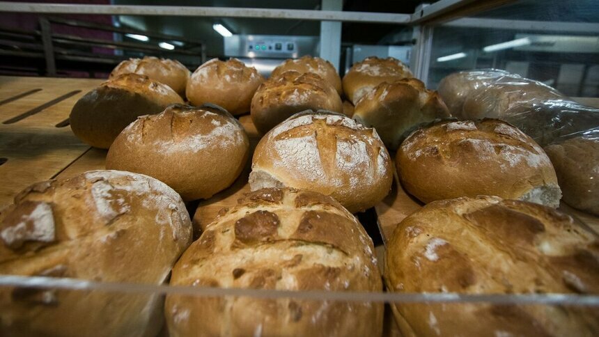 Минсельхоз: цены на хлеб и молоко удалось стабилизировать   - Новости Калининграда | Архив &quot;Клопс&quot;