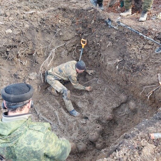 Предположительно, погибли во время войны: при работах в Багратионовском районе нашли останки 25 человек - Новости Калининграда | Фото: региональный СКР