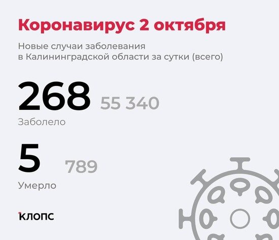 Ещё 5 смертей: подробности о ситуации с коронавирусом в Калининградской области - Новости Калининграда