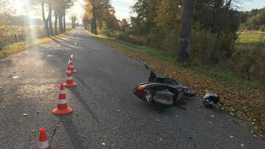 В Краснознаменском районе женщина упала со скутера из-за выбежавшей на дорогу собаки - Новости Калининграда | Фото: ГИБДД региона