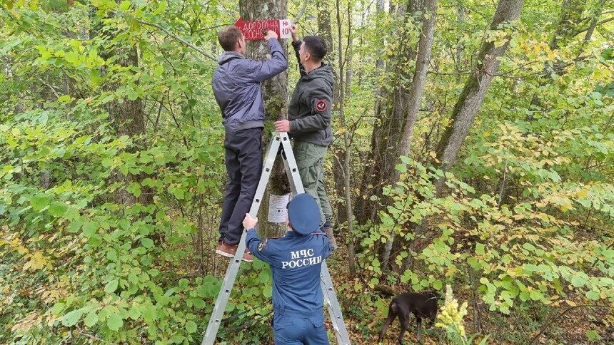В Калининградской области волонтёры развешивают стрелки, помогающие заблудившимся выйти из леса - Новости Калининграда | Фото: ПСО «Запад»