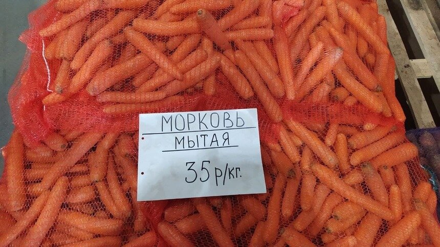 В Калининграде свёкла и морковь за месяц подешевели в два раза - Новости Калининграда | Фото: «Клопс»