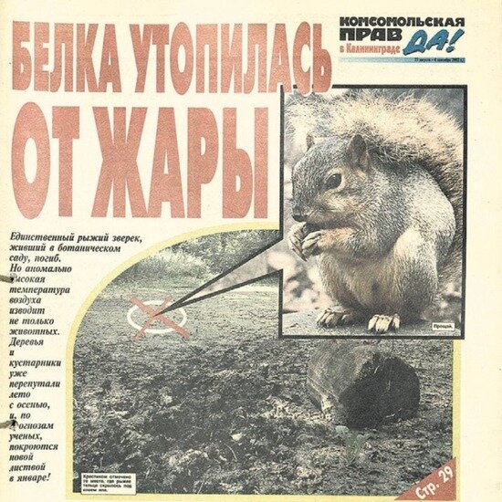 Тот самый хит на первой полосе | Фото: архив «Комсомольской правды — Калининград»