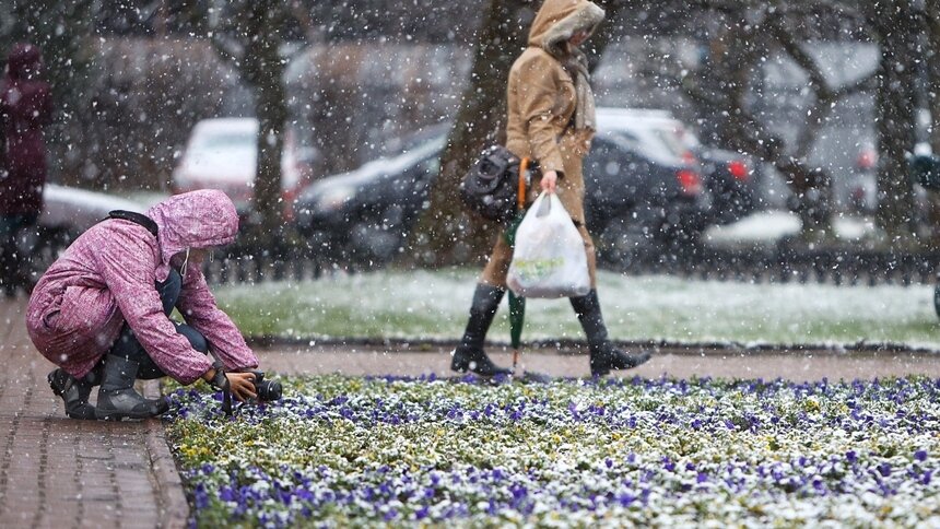 На следующей неделе в Европейской России пойдёт снег - Новости Калининграда | Фото: Александр Подгорчук / Архив «Клопс»