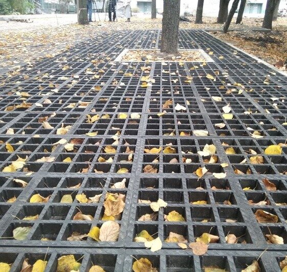 В Калининграде опробовали новый способ обустройства парковок во дворах (фото) - Новости Калининграда