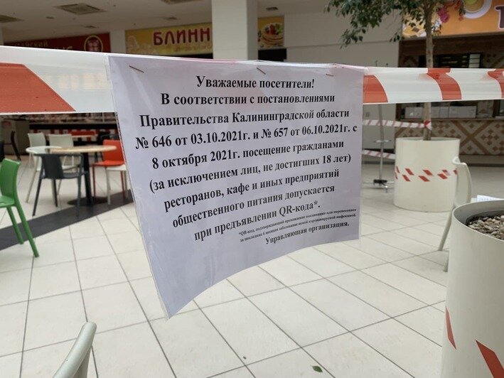 Время QR: как теперь работают торговые центры Калининграда  - Новости Калининграда | Фото: «Клопс»