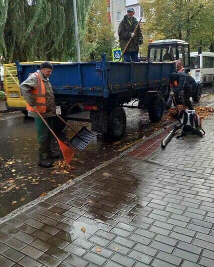 «Неприятный итог — 30 подтопленных улиц»: Дятлова — о последствиях штормового ветра и ливня в Калининграде - Новости Калининграда | Фото: Instagram / Елена Дятлова