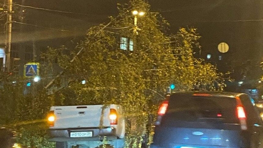 Поваленные деревья и пробки в 9 баллов: в Калининград пришёл шторм «Игнатц» - Новости Калининграда | Фото: «Клопс»