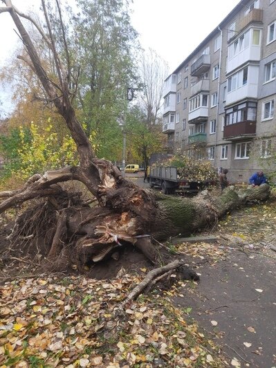 Последствия урагана на ул. Заводской  | Фото: предоставили жители дома