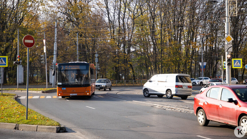 В центре Калининграда стрелка на светофоре запутала водителей (фото ...