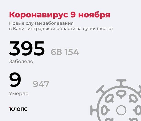 Ещё 9 смертей: подробности о ситуации с коронавирусом в Калининградской области - Новости Калининграда