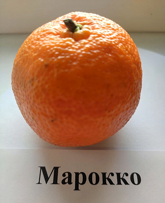Кислые, сладкие, из Африки и Европы: какие мандарины продают в Калининграде и чем они отличаются - Новости Калининграда | Фото: «Клопс»