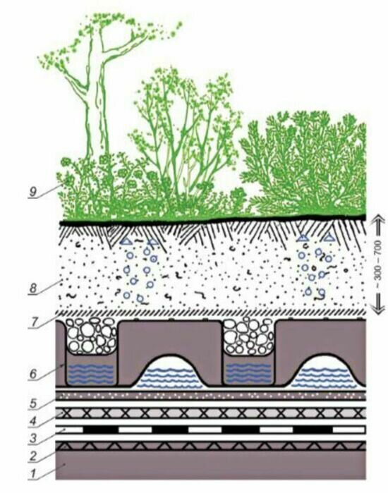 Технология зелёных насаждений на крыше или фасаде | фото: Фонд капитального ремонта