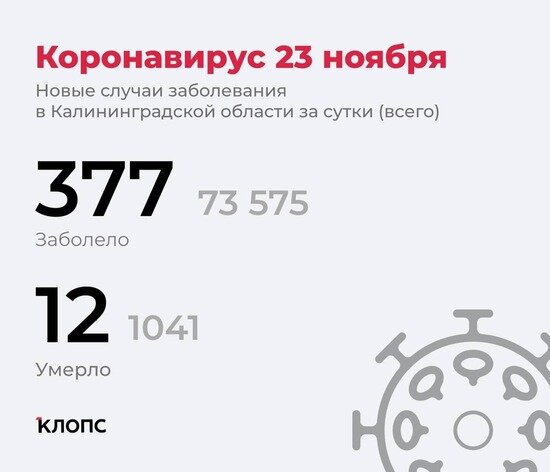 Ещё 12 смертей: подробности о ситуации с ковидом в Калининградской области - Новости Калининграда