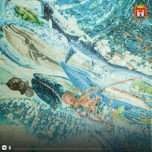 Администрация Калининграда показала фрагменты триптиха для комплекса «Планета Океан» - Новости Калининграда | Фото: администрация Калининграда 