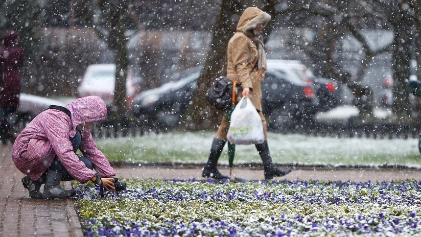 До +3 и снег с дождём: погода в Калининграде на последние выходные осени - Новости Калининграда | Фото: Александр Подгорчук / Архив «Клопс»