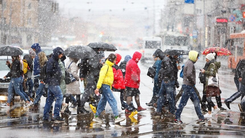 Сильный снег и туман: синоптики дали прогноз на последние дни ноября - Новости Калининграда