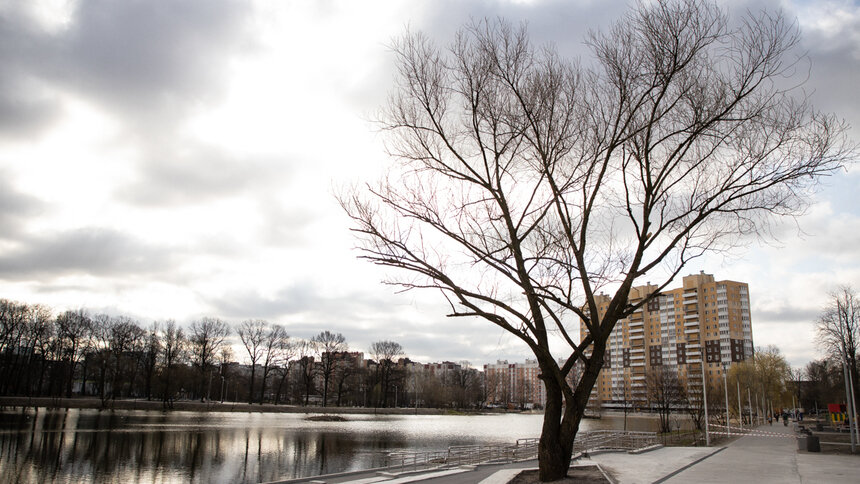 В Калининграде из двух озёр спустят воду для очистки   - Новости Калининграда | Фото: архив «Клопс»