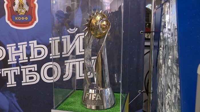  В Калининграде отметили Всемирный день футбола: 19 фактов о любимой игре миллионов - Новости Калининграда | Фото: скриншот с видео «Россия 1»