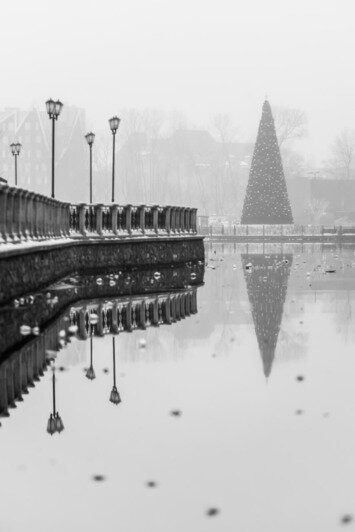 Лёд и туман сделали Калининград похожим на город из скандинавского детектива  - Новости Калининграда