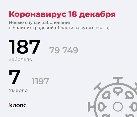Ещё 7 смертей: подробности о ситуации с COVID-19 в Калининградской области - Новости Калининграда