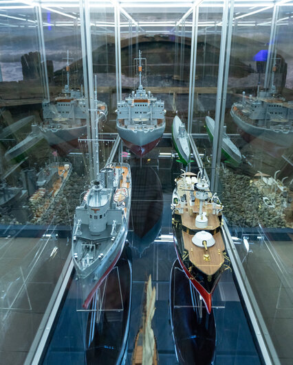 Новое необычное музейное пространство: Музей Мирового океана открыл первую выставку на территории бывшей Янтарной мануфактуры - Новости Калининграда