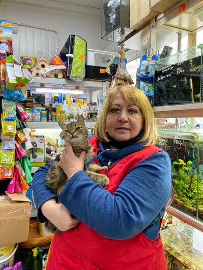 На фото: в зоомагазине регулярно пристраивают котиков с Карбышева | Фото: «Клопс»