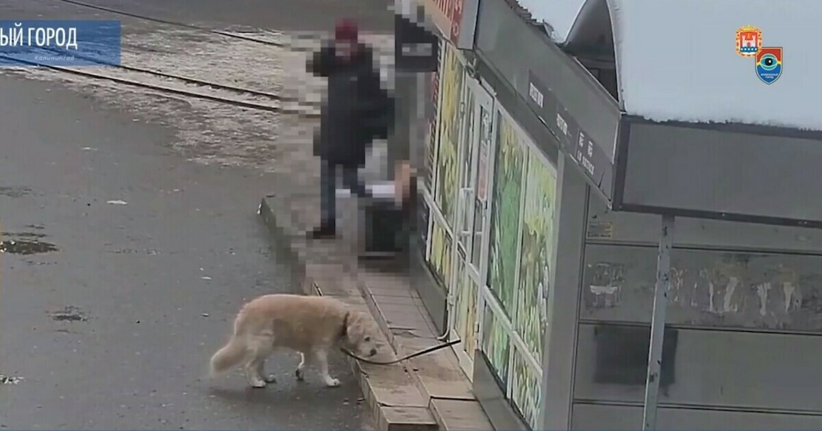Калининград без наркотиков Калининград без наркотиков скачать тор браузер мобильная версия гидра