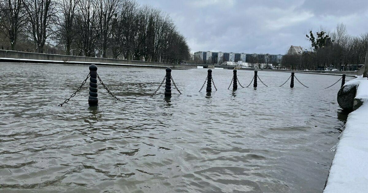 Потоп в калининграде сегодня видео. Наводнение в Калининграде. Потоп в Калининграде. Калининград затопило. Шторм в Калининграде вчера.