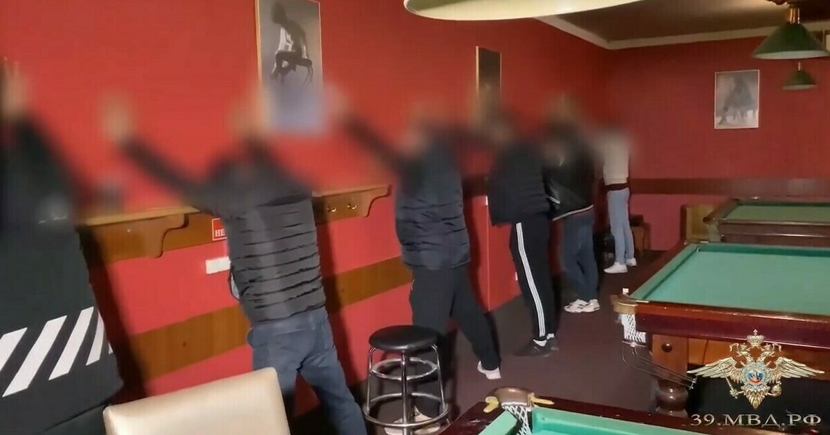 Опг за наркотики видео влияние конопли на организм