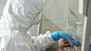 «Наш турист вездесущ»: калининградский Роспотребнадзор предупредил о риске завоза чумы в регион