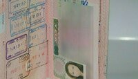 В Калининграде из-за падения курса евро немецкая виза за неделю подешевела вдвое