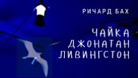 «История про каждого из нас»: в Калининграде покажут спектакль «Чайка Джонатан Ливингстон»