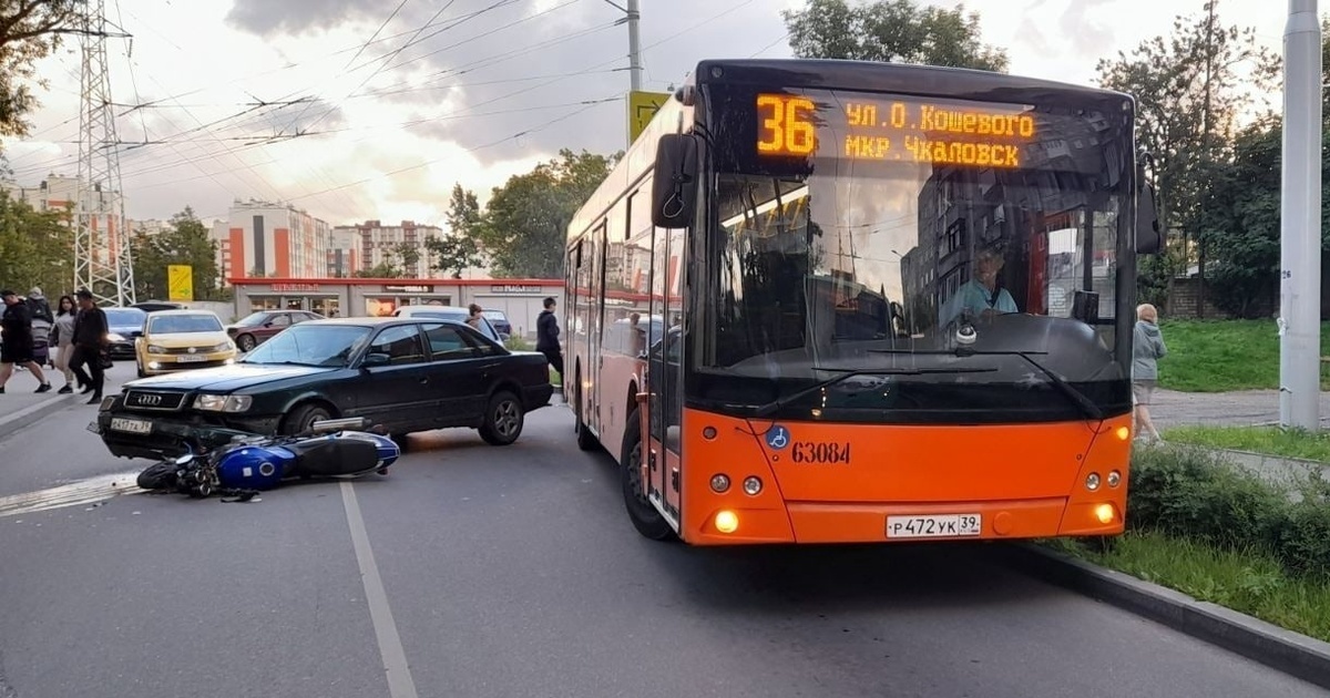 Клопс ру происшествия. Калининград ул Гагарина велодорожки.