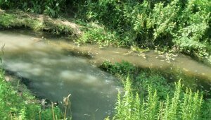 Молочно-белая река: ручей Гагаринский снова стал мутным (фото)