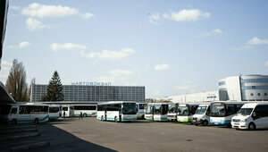 Из Калининграда в Литву и Латвию запустят больше рейсовых автобусов
