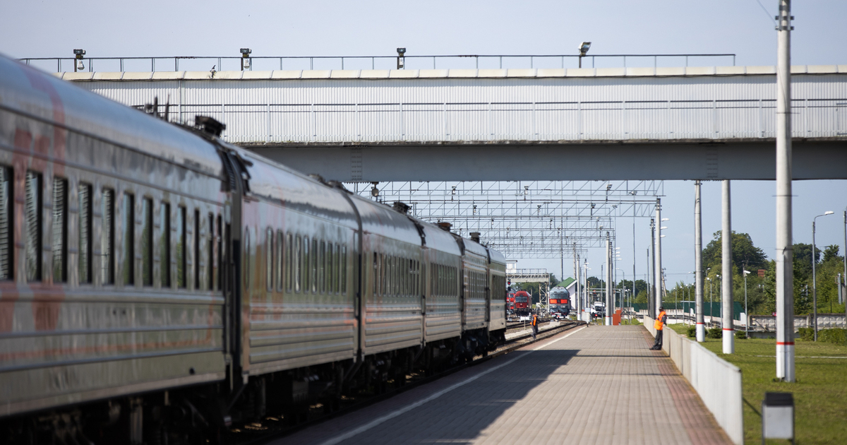 Поезд янтарь москва калининград фото