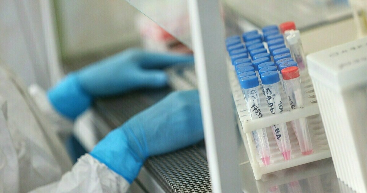 Medium: A new HIV pressure was detected in 14 folks in Cyprus