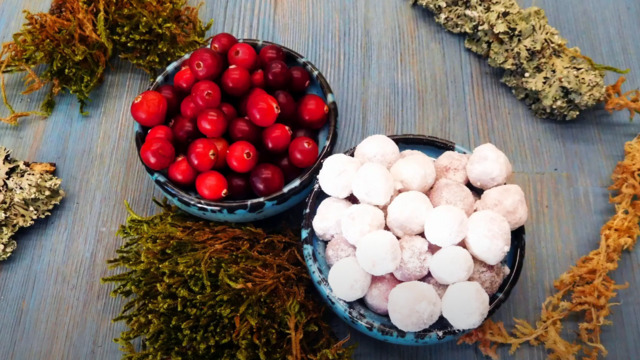 Брусничный пирог и клюква в сахарной пудре: 6 простых рецептов из октябрьских ягод (видео)
