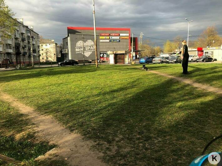 Трава растёт прямо из рельсов: как выглядит бывшее трамвайное кольцо на Тельмана (фото) - Новости Калининграда | Фото: «Клопс»